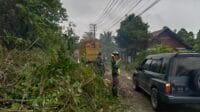 IMG-20250107-WA0015