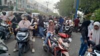 IMG-20250329-WA0049