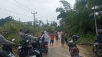 IMG-20251111-WA0097