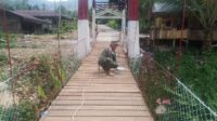 IMG-20260803-WA0044